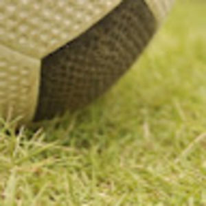 Meet your Posher, Damon